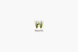 wavehill logo